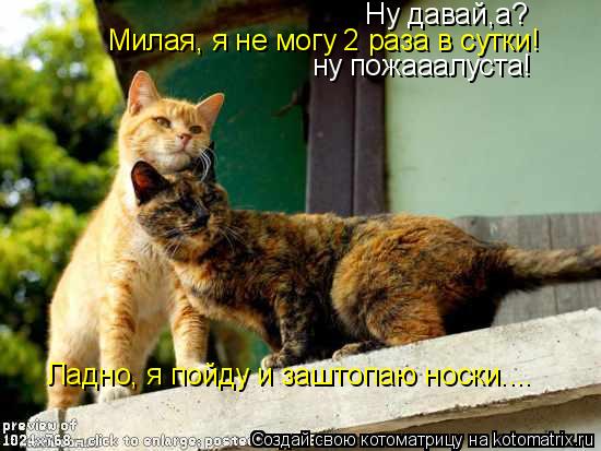 Ну давай,а? Милая, я не могу 2 раза в сутки! ну пожааалуста! Ладно, я пойду и заштопаю носки....... Котоматрица: Ну давай,а? Милая, я не могу 2 раза в сутки! ну пожааалуста! Ладно, я пойду и заштопаю носки....