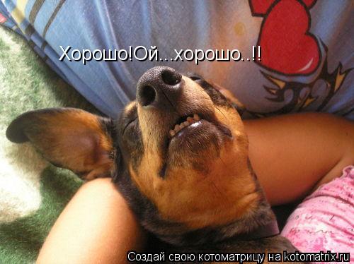 Хорошо!Ой...хорошо..!!... Котоматрица: Хорошо!Ой...хорошо..!!