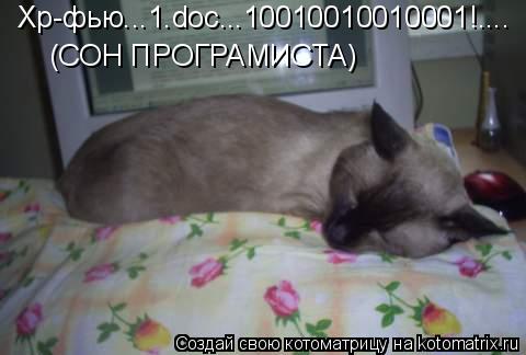 Хр-фью...1.doc...10010010010001!.... (СОН ПРОГРАМИСТА)... Котоматрица: Хр-фью...1.doc...10010010010001!.... (СОН ПРОГРАМИСТА)