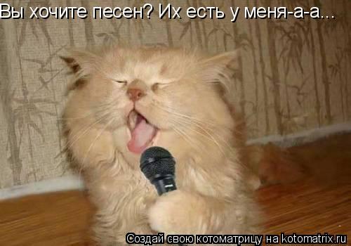 Котоматрица: Вы хочите песен? Их есть у меня-а-а...