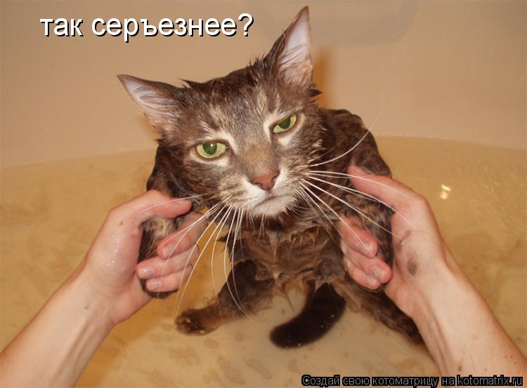так серъезнее?... Котоматрица: так серъезнее?