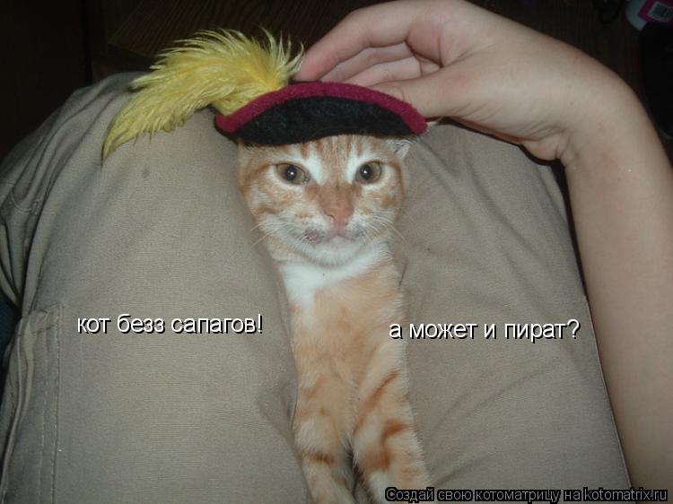 Котоматрица: кот безз сапагов! а может и пират?