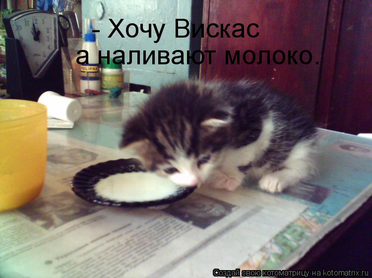 Котоматрица: - Хочу Вискас а наливают молоко.