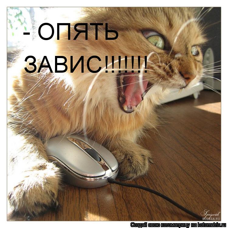 - ОПЯТЬ ЗАВИС!!!!!!!... Котоматрица: - ОПЯТЬ ЗАВИС!!!!!!!
