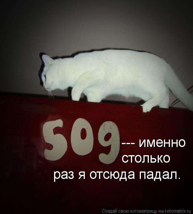 --- именно столько раз я отсюда падал.... Котоматрица: --- именно столько раз я отсюда падал.