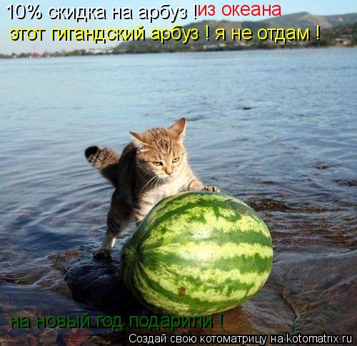 10% скидка на арбуз ! на новый год подарили ! из океана этот гигандский арбуз ! я не отдам !... Котоматрица: 10% скидка на арбуз ! на новый год подарили ! из океана этот гигандский арбуз ! я не отдам !