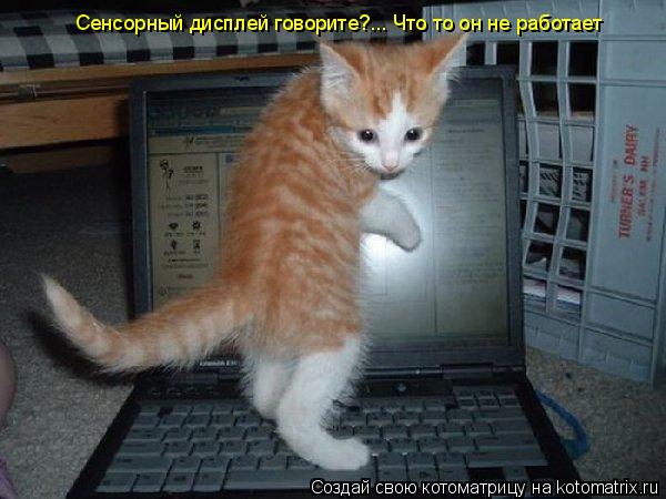 Котоматрица: Сенсорный дисплей говорите?... Что то он не работает