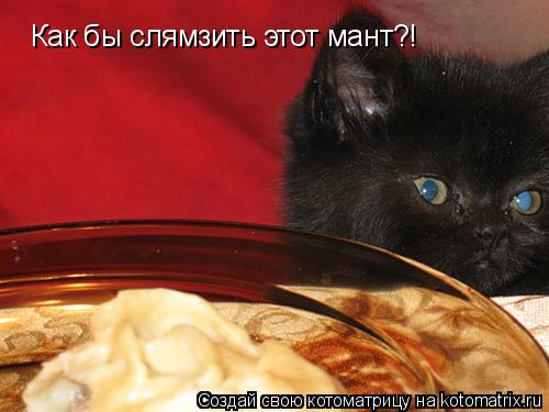 Как бы слямзить этот мант?!... Котоматрица: Как бы слямзить этот мант?!
