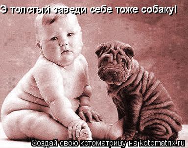 Э толстый заведи себе тоже собаку! Э толстый заведи себе тоже собаку!... Котоматрица: Э толстый заведи себе тоже собаку! Э толстый заведи себе тоже собаку!