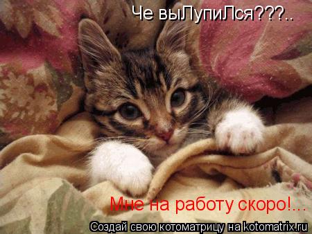 Че выЛупиЛся???.. Мне на работу скоро!...... Котоматрица: Че выЛупиЛся???.. Мне на работу скоро!...