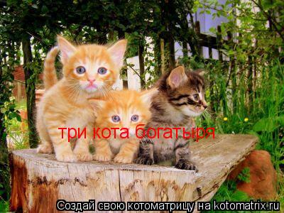 три кота богатыря... Котоматрица: три кота богатыря