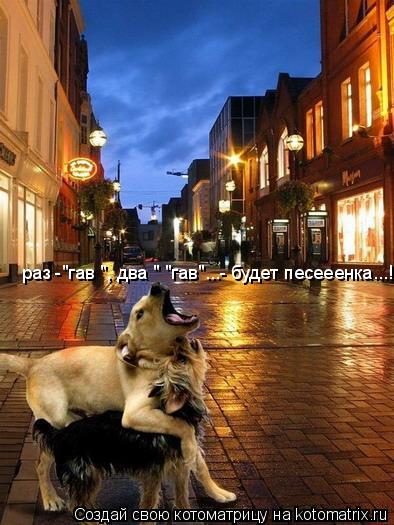 раз -"гав ", два " "гав"...- будет песееенка...!!!!... Котоматрица: раз -"гав ", два " "гав"...- будет песееенка...!!!!