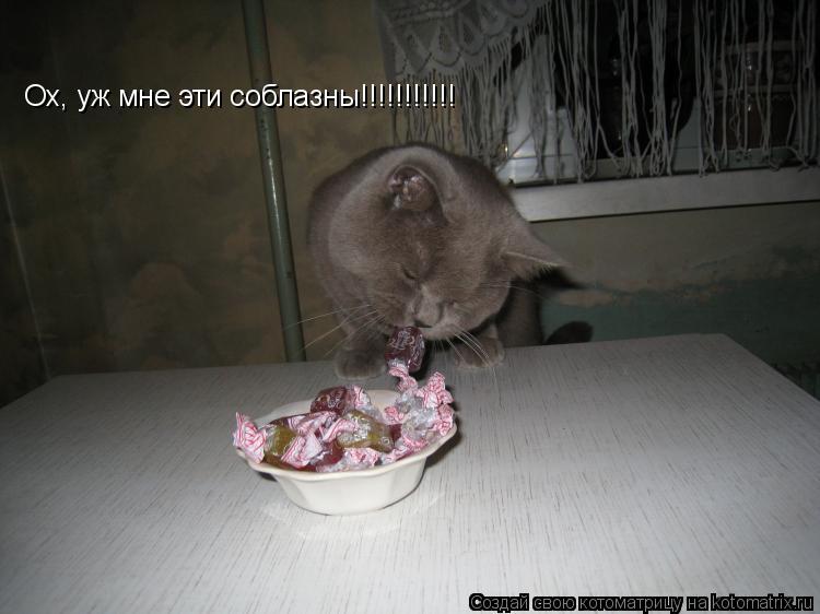 Ох, уж мне эти соблазны!!!!!!!!!!!... Котоматрица: Ох, уж мне эти соблазны!!!!!!!!!!!