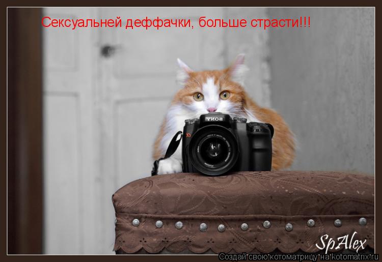 Сексуальней деффачки, больше страсти!!!... Котоматрица: Сексуальней деффачки, больше страсти!!!