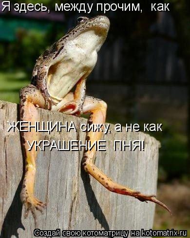 Котоматрица: Я здесь, между прочим,  как ЖЕНЩИНА сижу, а не как УКРАШЕНИЕ  ПНЯ!
