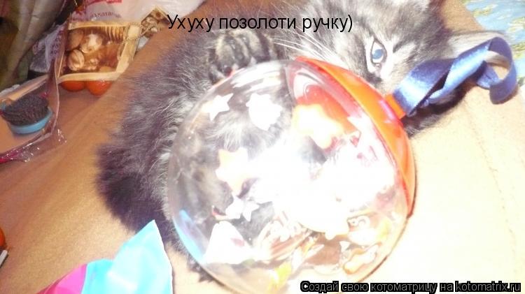 Котоматрица: Ухуху позолоти ручку)
