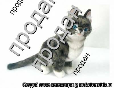 продан продан продан продан... Котоматрица: продан продан продан продан