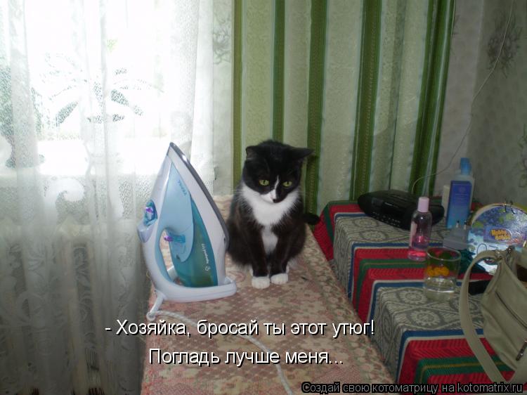 - Хозяйка, бросай ты этот утюг! Погладь лучше меня...... Котоматрица: - Хозяйка, бросай ты этот утюг! Погладь лучше меня...