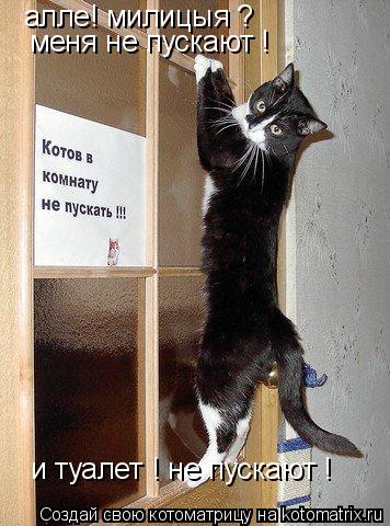 Котоматрица: алле! милицыя ? меня не пускают ! и туалет ! не пускают !