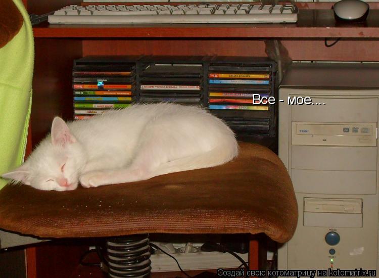 Котоматрица: Все - мое....