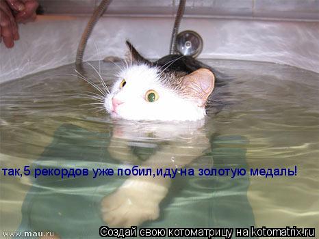 так,5 рекордов уже побил,иду на золотую медаль!... Котоматрица: так,5 рекордов уже побил,иду на золотую медаль!