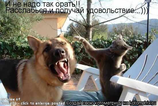 И не надо так орать!! Расслабься и получай удовольствие...)))... Котоматрица: И не надо так орать!! Расслабься и получай удовольствие...)))