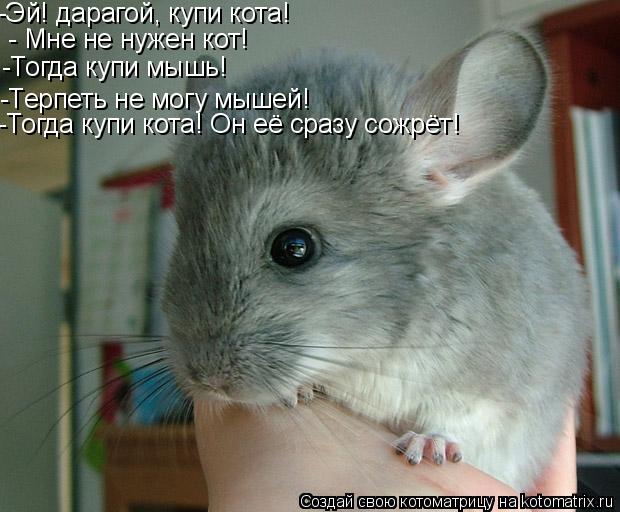-Эй! дарагой, купи кота! - Мне не нужен кот! -Тогда купи мышь! -Терпеть не могу мышей! -Тогда купи ко... Котоматрица: -Эй! дарагой, купи кота! - Мне не нужен кот! -Тогда купи мышь! -Терпеть не могу мышей! -Тогда купи кота! Он её сразу сожрёт!