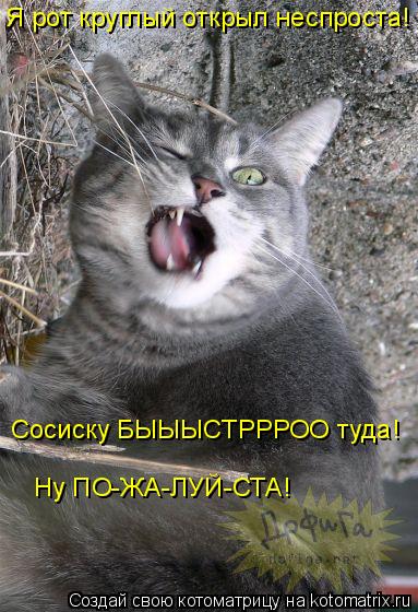 Я рот круглый открыл неспроста! Ну ПО-ЖА-ЛУЙ-СТА! Сосиску БЫЫЫСТРРРОО туда!... Котоматрица: Я рот круглый открыл неспроста! Ну ПО-ЖА-ЛУЙ-СТА! Сосиску БЫЫЫСТРРРОО туда!