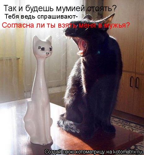 Так и будешь мумией стоять? Тебя ведь спрашивают- Согласна ли ты взять меня в мужья?... Котоматрица: Так и будешь мумией стоять? Тебя ведь спрашивают- Согласна ли ты взять меня в мужья?