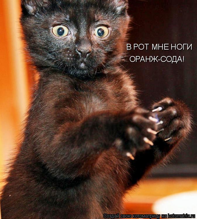 В РОТ МНЕ НОГИ ОРАНЖ-СОДА!... Котоматрица: В РОТ МНЕ НОГИ ОРАНЖ-СОДА!