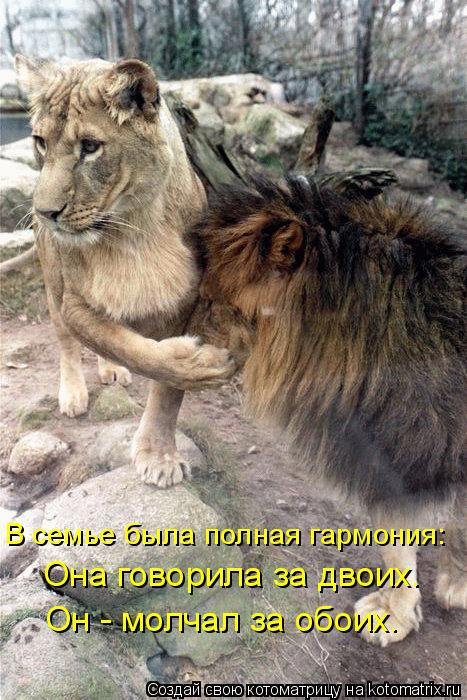 Он - молчал за обоих. Она говорила за двоих. В семье была полная гармония:... Котоматрица: Он - молчал за обоих. Она говорила за двоих. В семье была полная гармония: