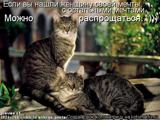 Если вы нашли женщину своей мечты, с остальными мечтами... Можно распрощаться...)))... Котоматрица: Если вы нашли женщину своей мечты, с остальными мечтами... Можно распрощаться...)))
