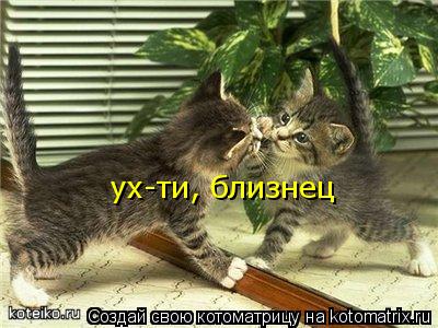 ух-ти, близнец... Котоматрица: ух-ти, близнец