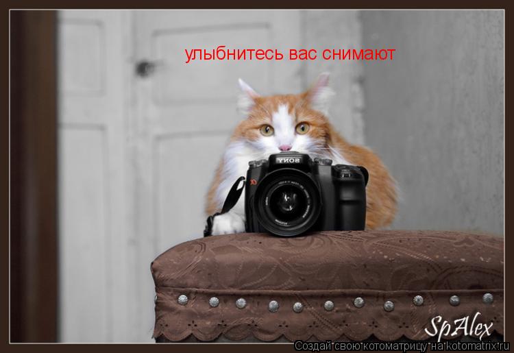 Котоматрица: улыбнитесь вас снимают