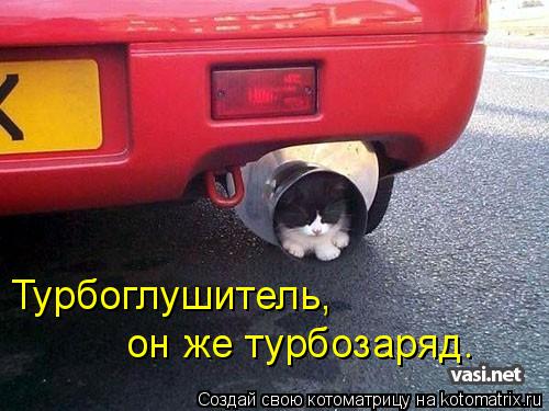 Турбоглушитель, он же турбозаряд.... Котоматрица: Турбоглушитель, он же турбозаряд.