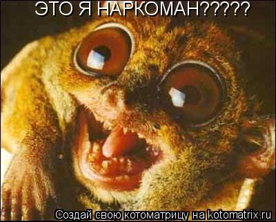 Котоматрица: ЭТО Я НАРКОМАН?????