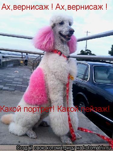 Котоматрица: Ах,вернисаж ! Ах,вернисаж ! Какой портрет! Какой пейзаж!
