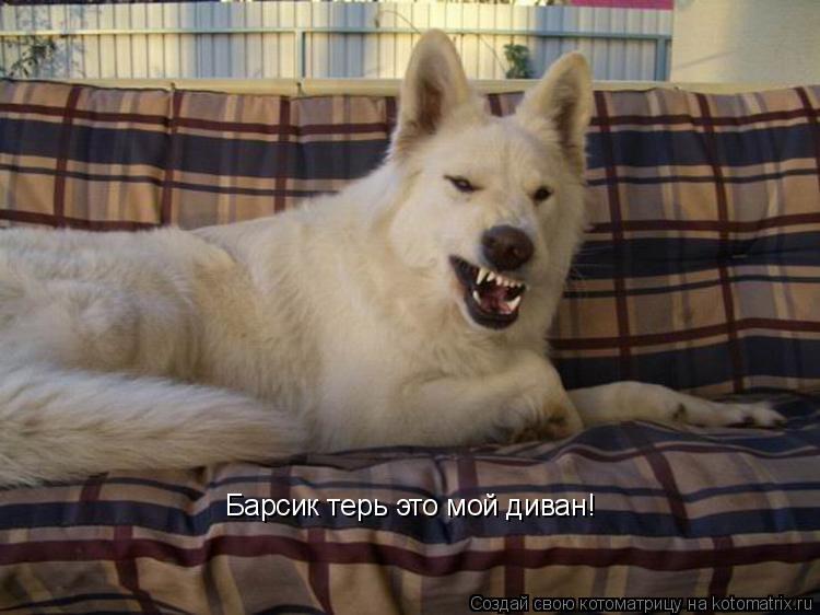 Барсик терь это мой диван!... Котоматрица: Барсик терь это мой диван!