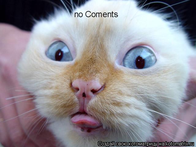 no Coments... Котоматрица: no Coments