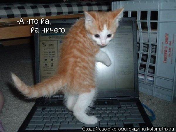-А что йа, йа ничего... Котоматрица: -А что йа, йа ничего