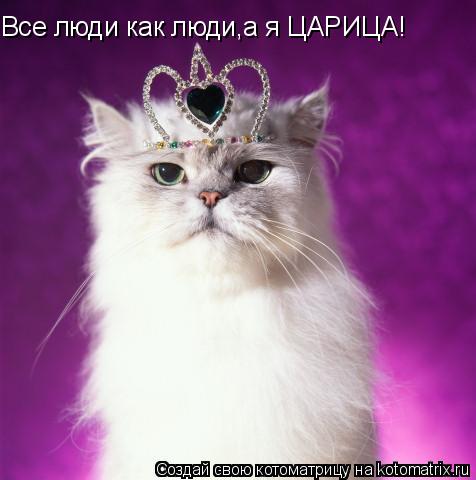 Все люди как люди,а я ЦАРИЦА!... Котоматрица: Все люди как люди,а я ЦАРИЦА!