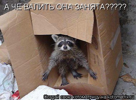 А ЧЕ ВАЛИТЬ ОНА ЗАНЯТА?????... Котоматрица: А ЧЕ ВАЛИТЬ ОНА ЗАНЯТА?????