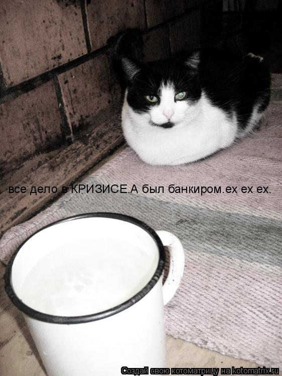 Котоматрица: все дело в КРИЗИСЕ.А был банкиром.ех ех ех.