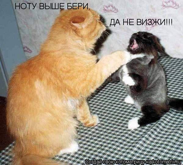 НОТУ ВЫШЕ БЕРИ, ДА НЕ ВИЗЖИ!!!... Котоматрица: НОТУ ВЫШЕ БЕРИ, ДА НЕ ВИЗЖИ!!!