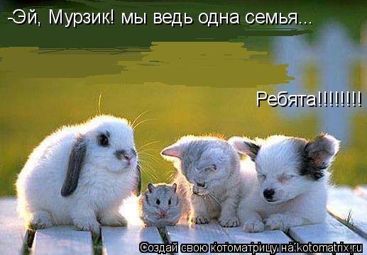 Котоматрица: -Эй, Мурзик! мы ведь одна семья... Ребята!!!!!!!!