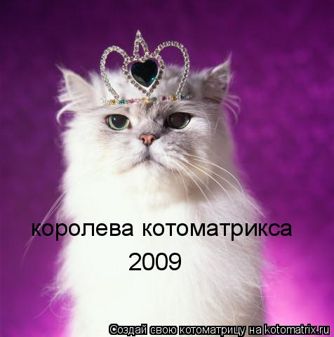 королева котоматрикса 2009... Котоматрица: королева котоматрикса 2009