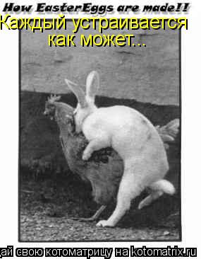 Котоматрица: Каждый устраивается  как может...