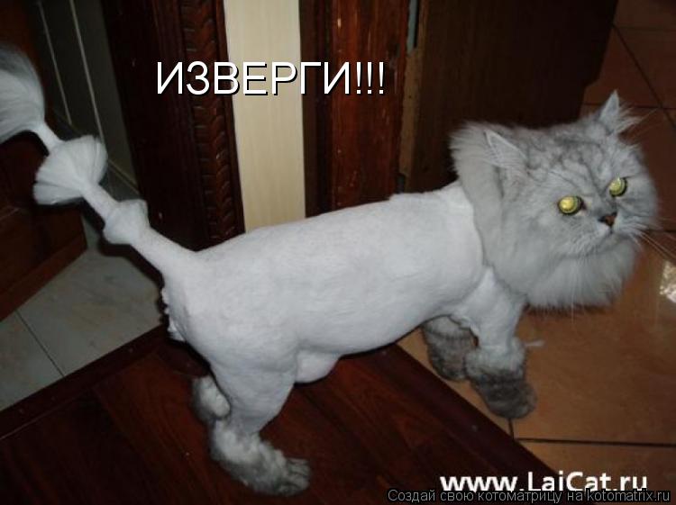 ИЗВЕРГИ!!!... Котоматрица: ИЗВЕРГИ!!!