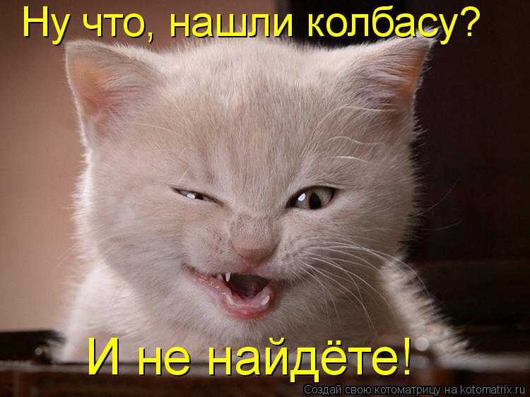 Ну что, нашли колбасу? И не найдёте!... Котоматрица: Ну что, нашли колбасу? И не найдёте!