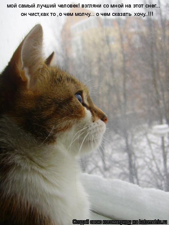 мой самый лучший человек! взгляни со мной на этот снег... он чист,как то ,о чем молчу... о чем сказат... Котоматрица: мой самый лучший человек! взгляни со мной на этот снег... он чист,как то ,о чем молчу... о чем сказать хочу..!!!